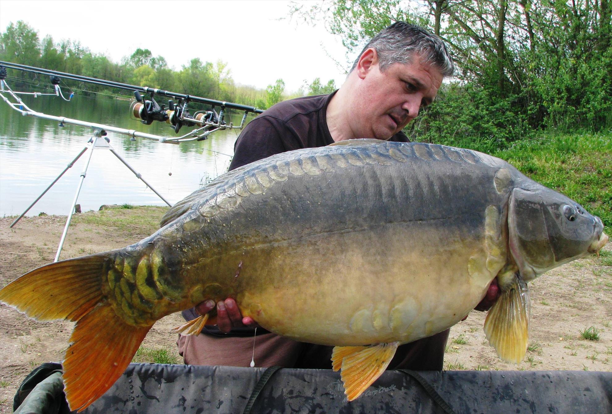 Pelagicevo Jezero  aprilie 2015 - img1994.JPG